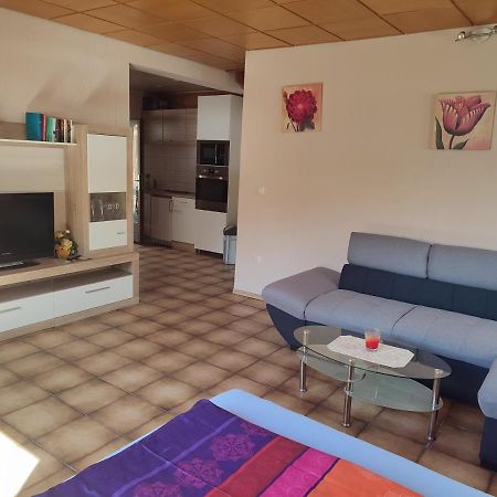 Appartement Am Waldesrand Gifhorn Exterior foto
